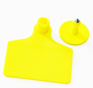 VF101&VM401_00-00001283