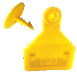 UF203      _00-00001295